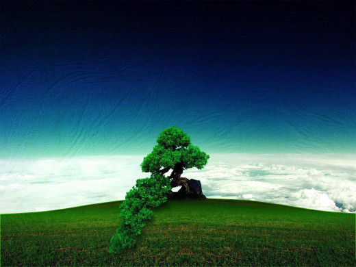 684222 (a): :1600x1200